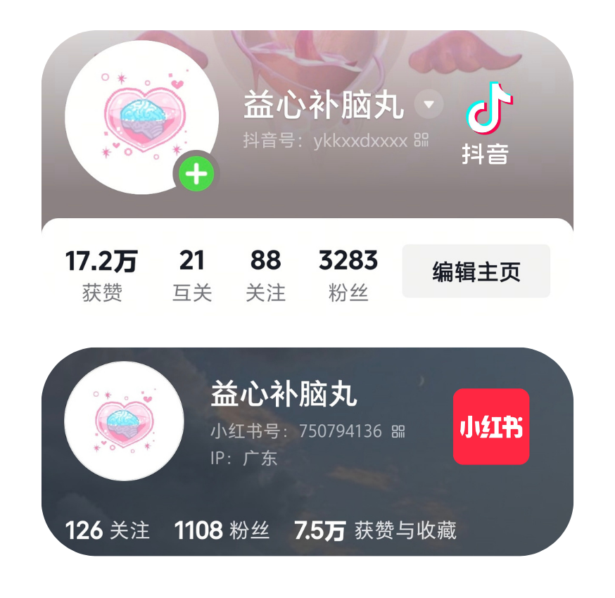 偶尔小小运营自媒体（0投流）